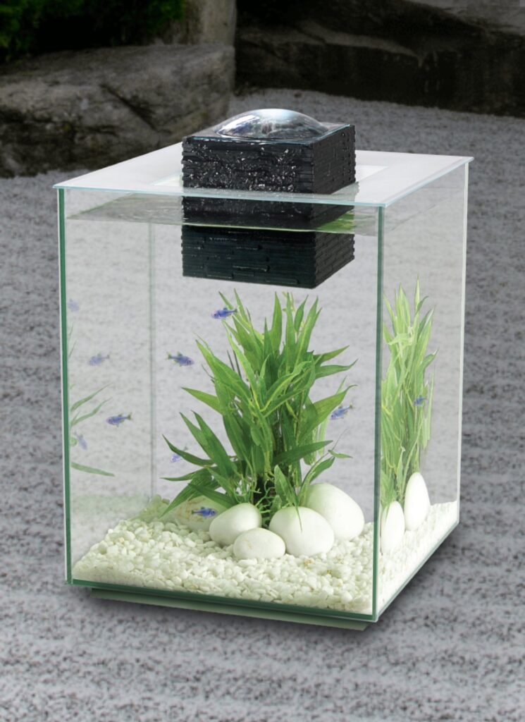 FLUVAL Kit De Acuario Chi - Imagen 3