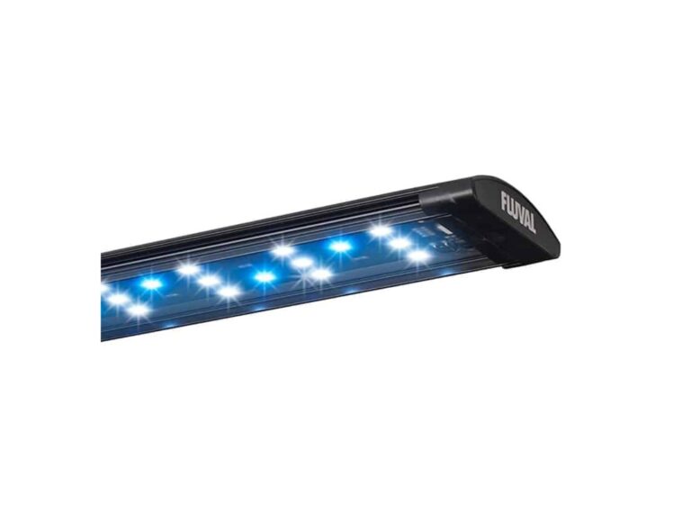 FLUVAL Kit Acuario Marino
Evo 52L - Imagen 6