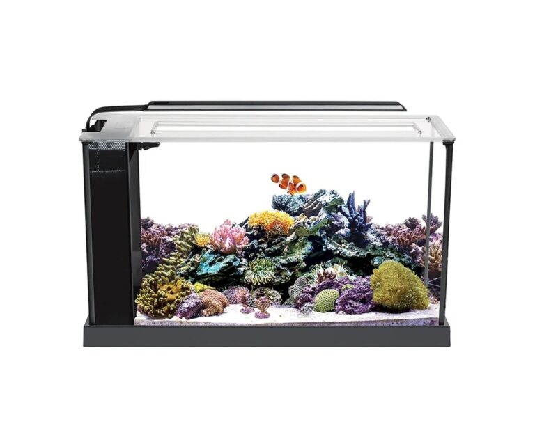 FLUVAL Kit Acuario Marino
Evo 19L - Imagen 3
