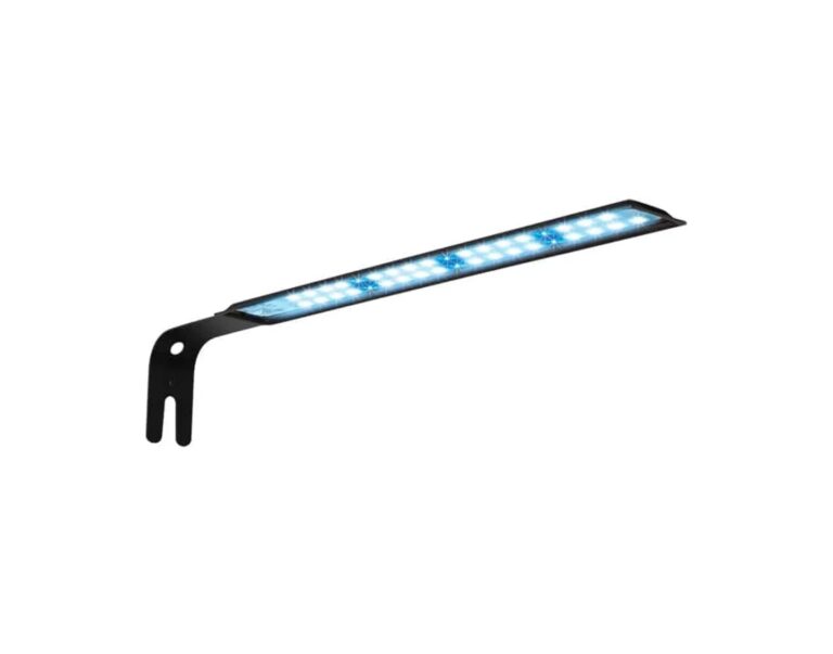 FLUVAL Kit Acuario Marino
Evo 19L - Imagen 5