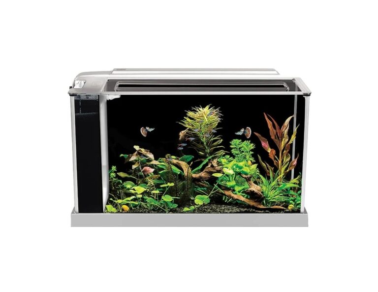 FLUVAL Kit Acuario Spec 19L - Imagen 2