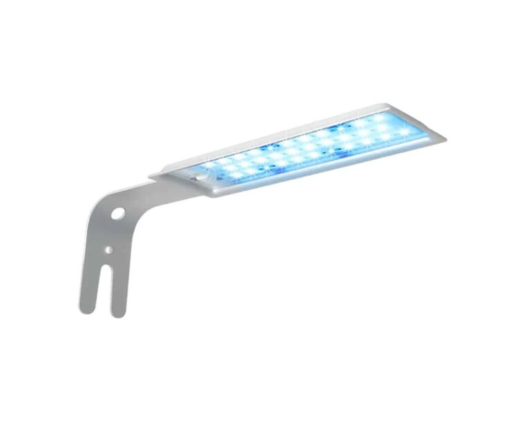 FLUVAL Kit Acuario Spec 10L - Imagen 5