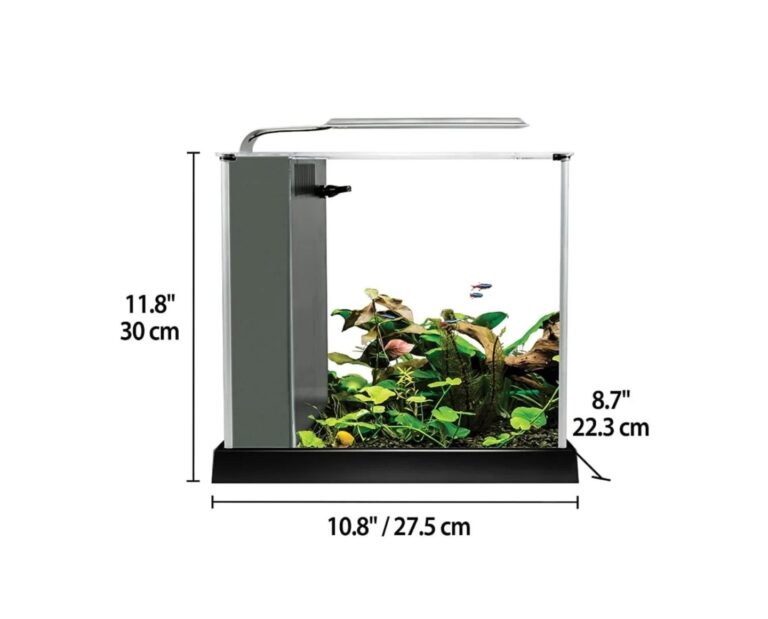 FLUVAL Kit Acuario Spec 10L - Imagen 6