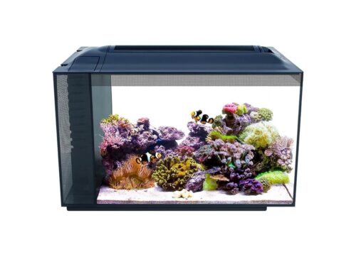 FLUVAL Kit Acuario Marino
Evo 52L - Imagen 2
