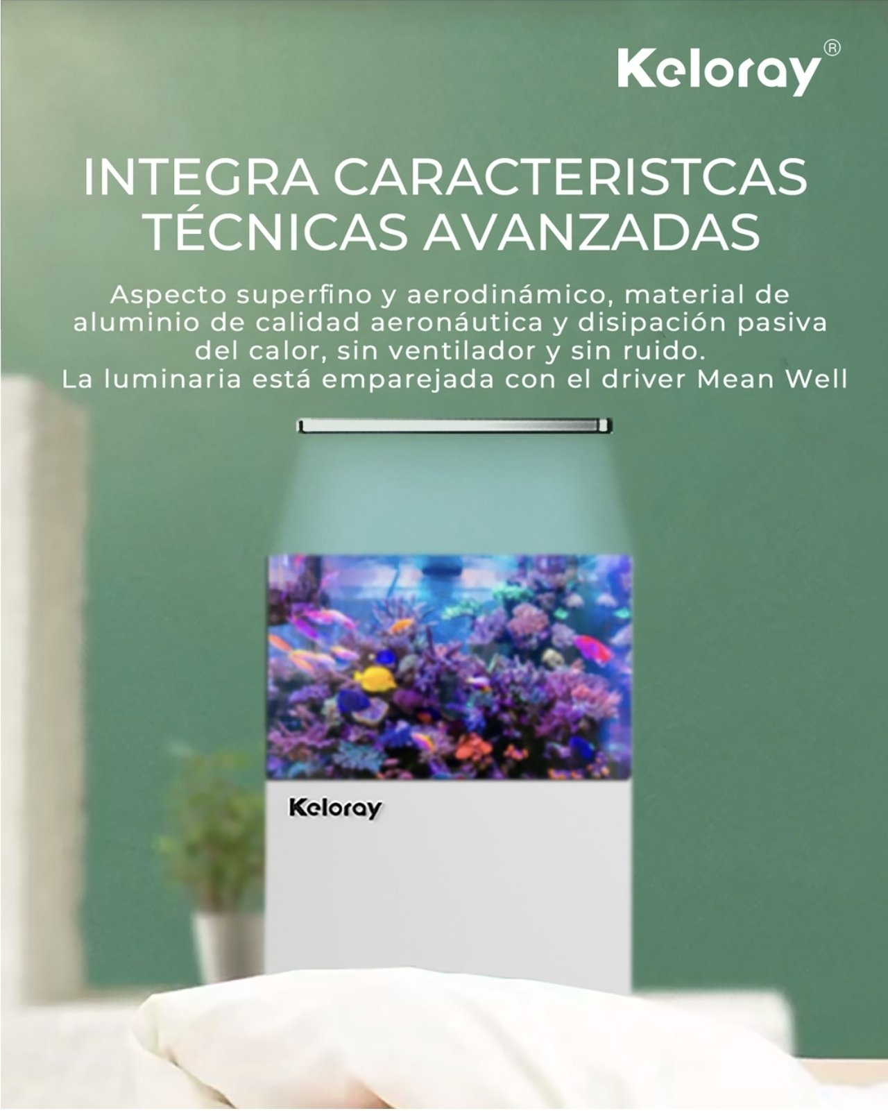 KELORAY Coral Light
AL 200w - Imagen 9