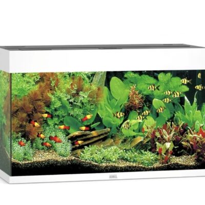 JUWEL Rio 125 Led
Urna con Mesa Opcional