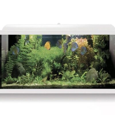 ICA Aqua LED PRO blanco
100L con MESA